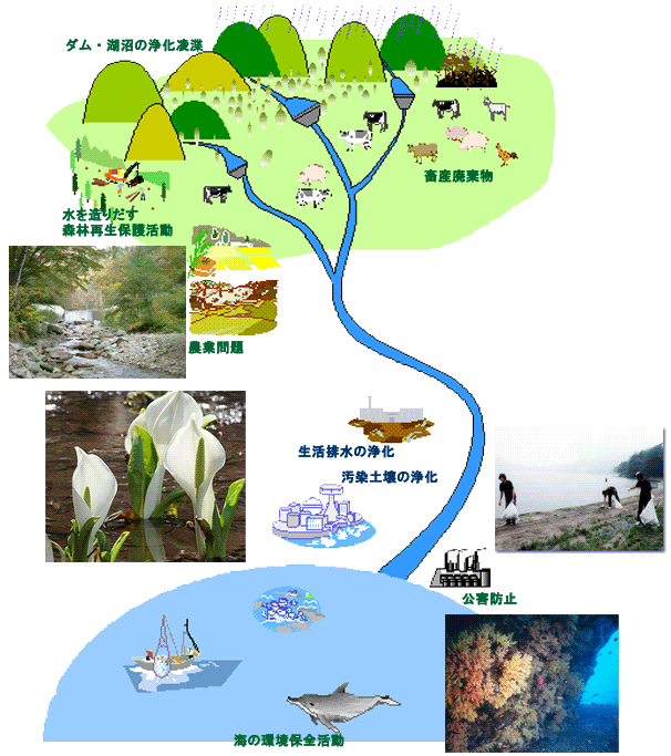 ��ư���ƥ��᡼����