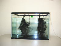 ���־���