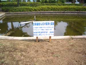 �u�Y�f�@�ۂɂ�鐅���򉻍��v�̊Ŕł��B