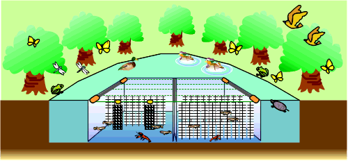 ú�����ݿ�������������֥��᡼��