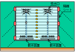 �����������ʿ�̿�