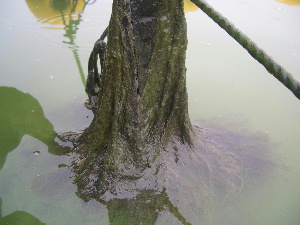 ú�����ݾ����ʣ������