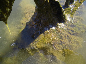 ú�����ݾ����ʣ����