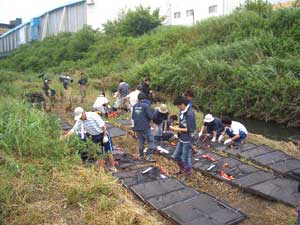 浄化装置にムカデ炭素繊維を取り付けています。
