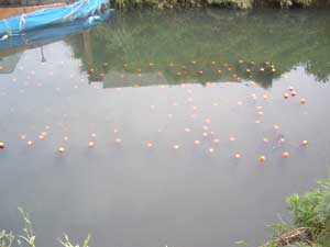 上流の設置状況です