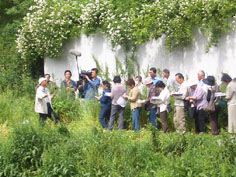 小島昭教授による説明