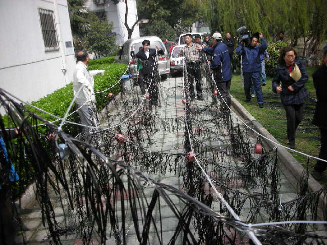 炭素繊維水質浄化材２