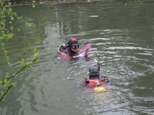 炭素繊維水質浄化材４