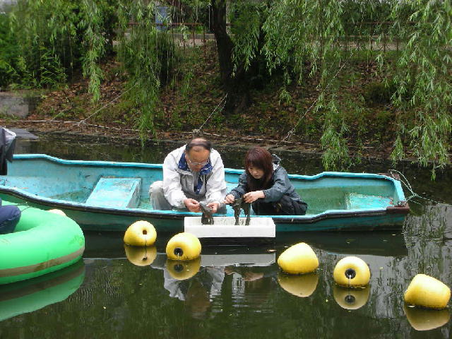 炭素繊維水質浄化材７