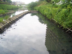 炭素繊維の状況