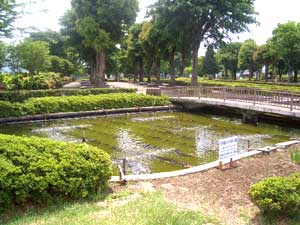 �Y�f�@�ۂ��Ƃ���ĂP�T�ԁc